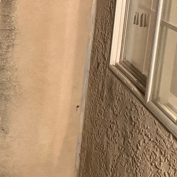 Meet your Posher, Jesse - Picture 1 of 1